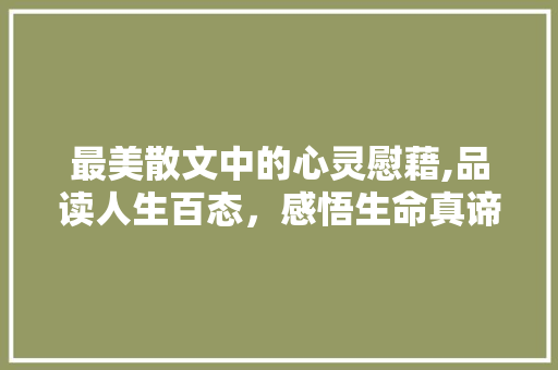 最美散文中的心灵慰藉,品读人生百态，感悟生命真谛 范文赏析