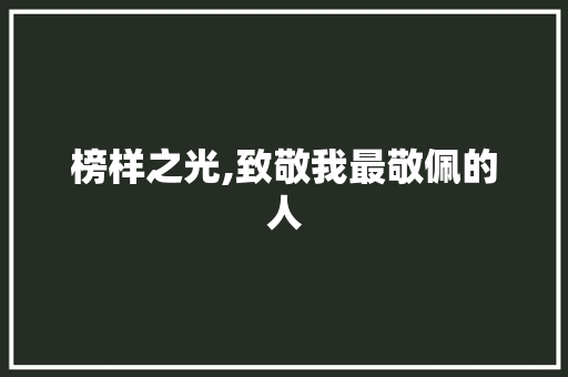 榜样之光,致敬我最敬佩的人