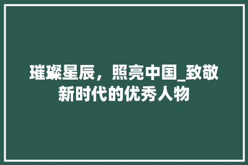 璀璨星辰，照亮中国_致敬新时代的优秀人物