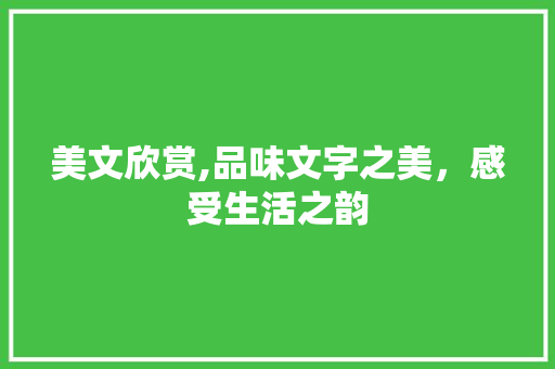 美文欣赏,品味文字之美，感受生活之韵 词汇积累