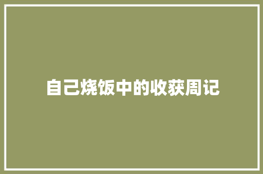 自己烧饭中的收获周记 简历模板