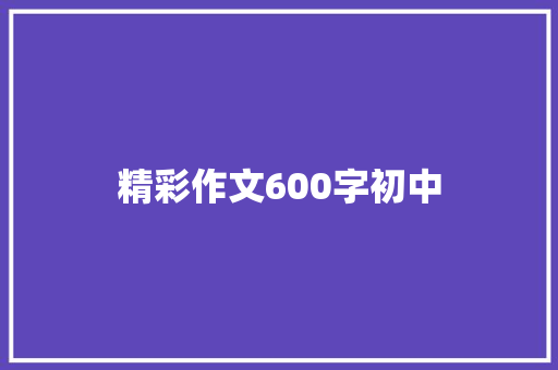 精彩作文600字初中