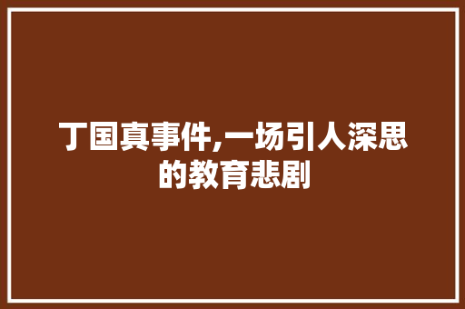 丁国真事件,一场引人深思的教育悲剧