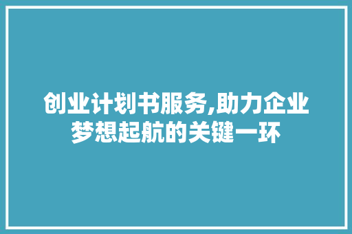 创业计划书服务,助力企业梦想起航的关键一环