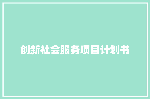创新社会服务项目计划书 词汇积累