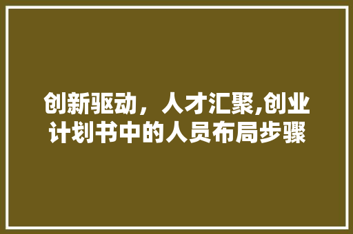 创新驱动，人才汇聚,创业计划书中的人员布局步骤 词汇积累