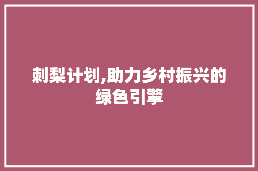 刺梨计划,助力乡村振兴的绿色引擎 词汇积累