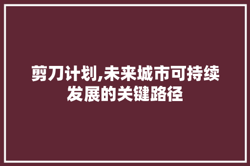 剪刀计划,未来城市可持续发展的关键路径