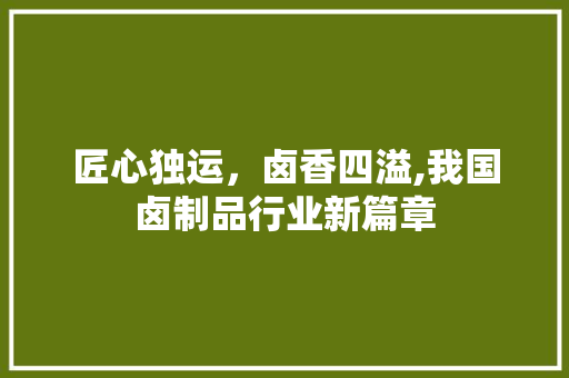 匠心独运，卤香四溢,我国卤制品行业新篇章 简历模板