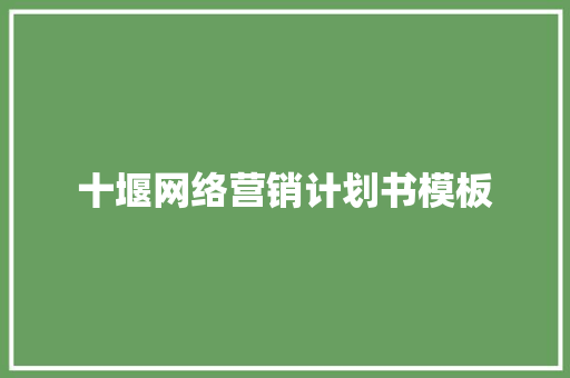 十堰网络营销计划书模板