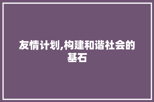 友情计划,构建和谐社会的基石