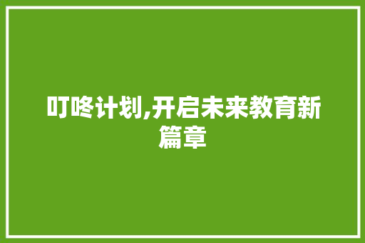 叮咚计划,开启未来教育新篇章