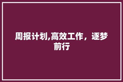周报计划,高效工作，逐梦前行