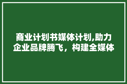 商业计划书媒体计划,助力企业品牌腾飞，构建全媒体传播格局