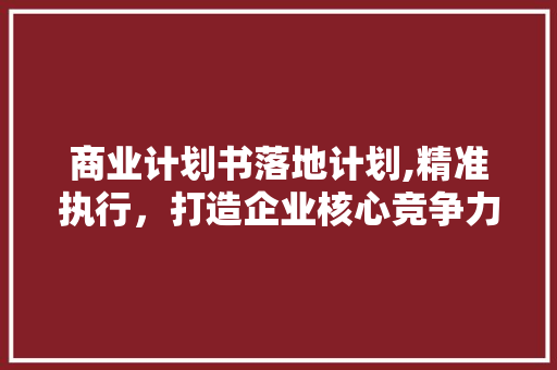 商业计划书落地计划,精准执行，打造企业核心竞争力