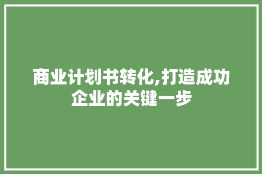 商业计划书转化,打造成功企业的关键一步