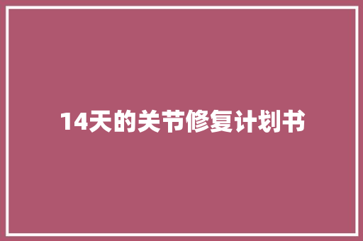 14天的关节修复计划书 范文赏析