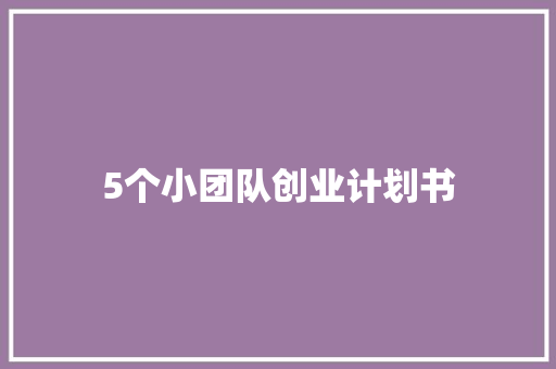 5个小团队创业计划书