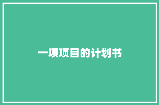 一项项目的计划书