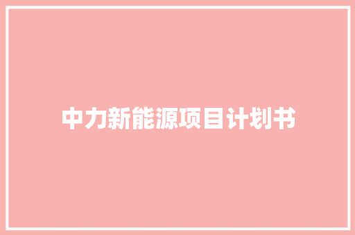 中力新能源项目计划书 商业文案