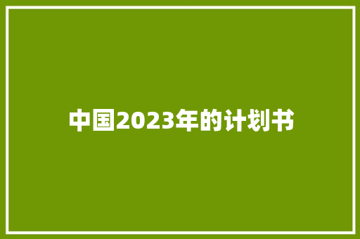 中国2023年的计划书