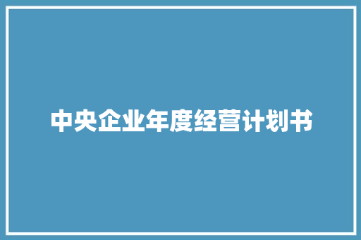 中央企业年度经营计划书
