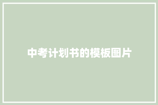 中考计划书的模板图片 词汇积累
