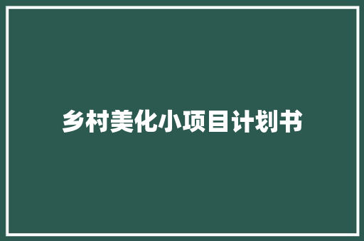 乡村美化小项目计划书