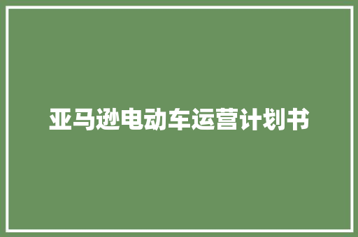 亚马逊电动车运营计划书