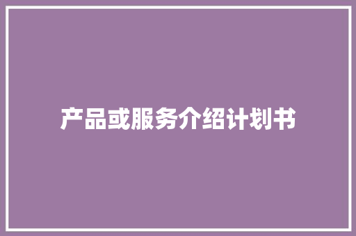 产品或服务介绍计划书