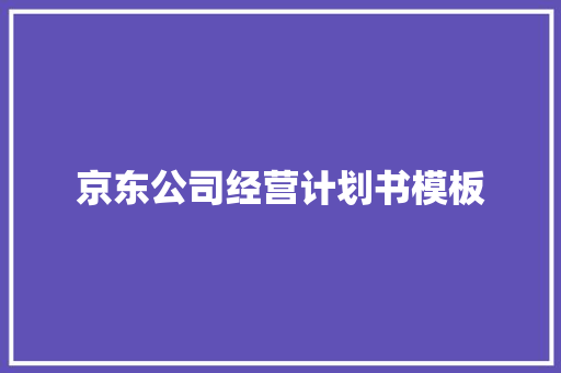 京东公司经营计划书模板