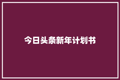 今日头条新年计划书