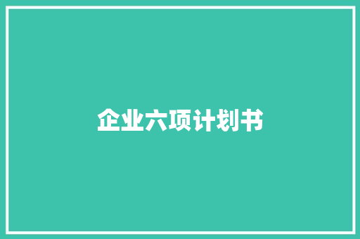 企业六项计划书