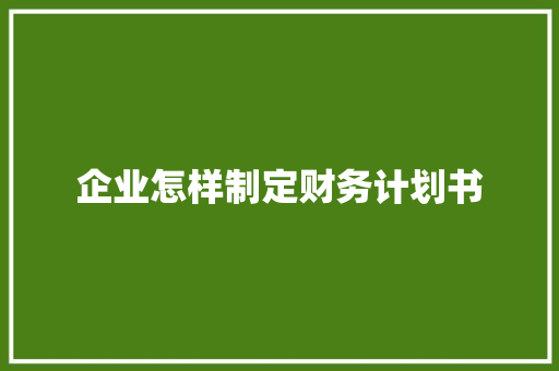 企业怎样制定财务计划书