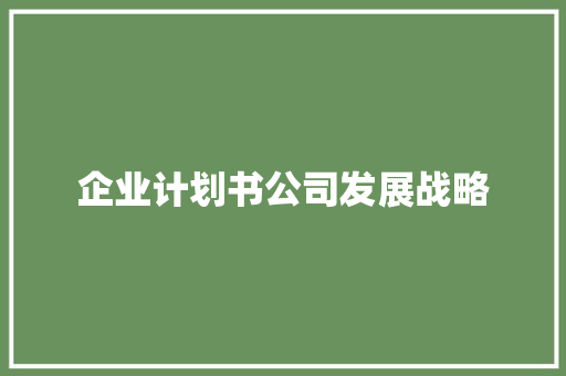 企业计划书公司发展战略