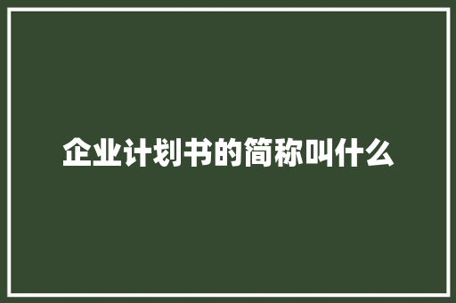 企业计划书的简称叫什么