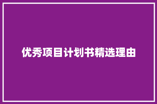 优秀项目计划书精选理由