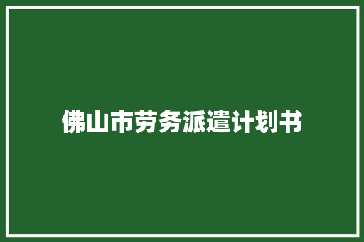 佛山市劳务派遣计划书
