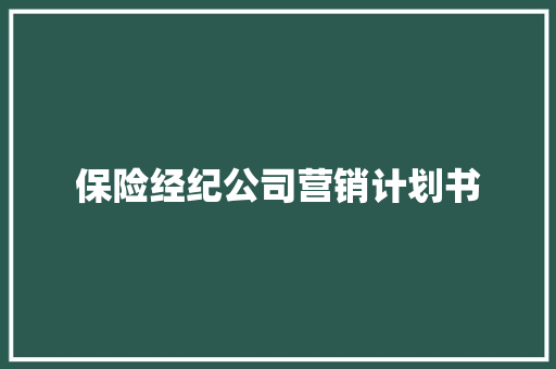 保险经纪公司营销计划书