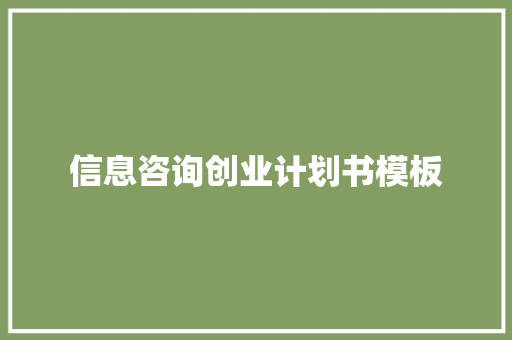 信息咨询创业计划书模板