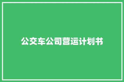 公交车公司营运计划书