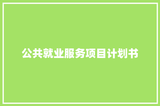 公共就业服务项目计划书