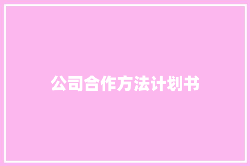 公司合作方法计划书