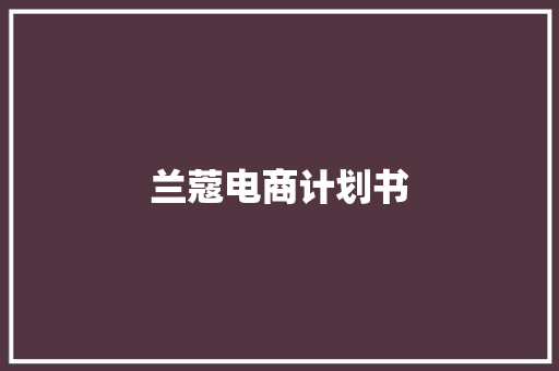 兰蔻电商计划书