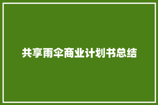 共享雨伞商业计划书总结 写作技巧