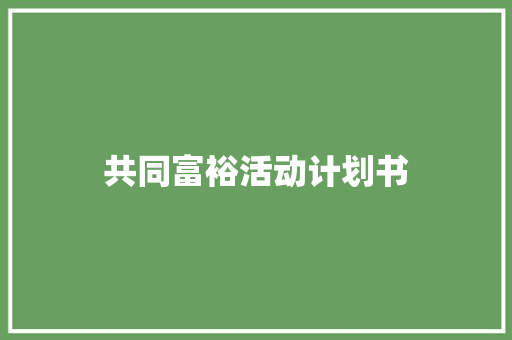 共同富裕活动计划书 报告写作