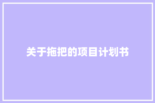 关于拖把的项目计划书