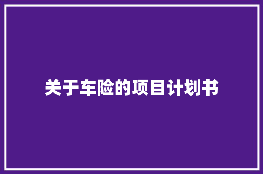 关于车险的项目计划书