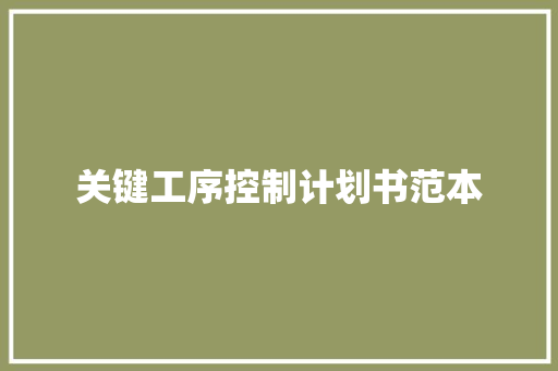 关键工序控制计划书范本