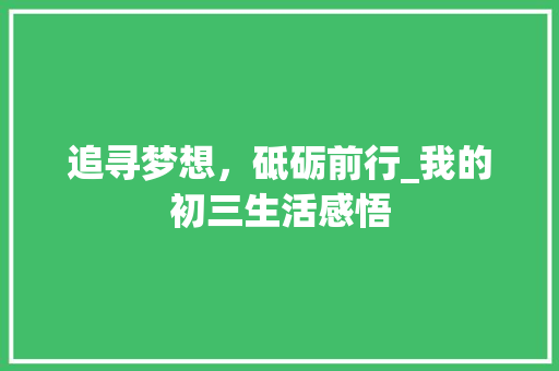 追寻梦想，砥砺前行_我的初三生活感悟